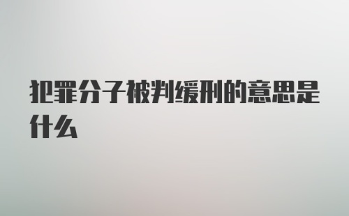 犯罪分子被判缓刑的意思是什么