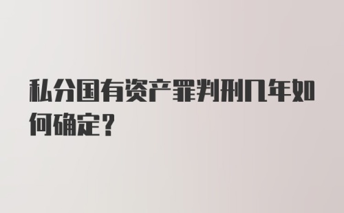 私分国有资产罪判刑几年如何确定？