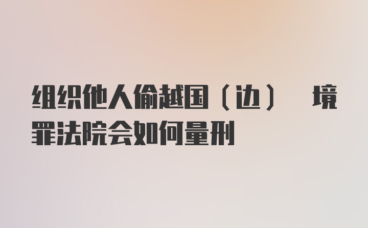 组织他人偷越国(边) 境罪法院会如何量刑