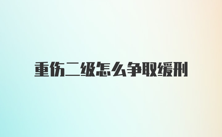 重伤二级怎么争取缓刑