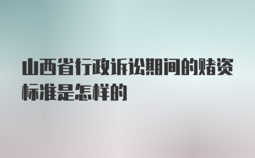 山西省行政诉讼期间的赌资标准是怎样的