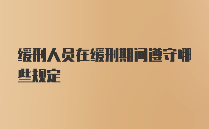 缓刑人员在缓刑期间遵守哪些规定