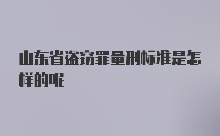 山东省盗窃罪量刑标准是怎样的呢