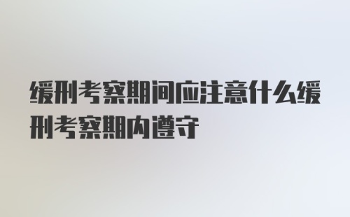 缓刑考察期间应注意什么缓刑考察期内遵守