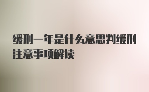 缓刑一年是什么意思判缓刑注意事项解读