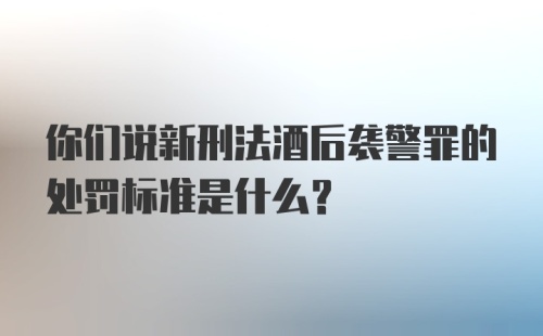 你们说新刑法酒后袭警罪的处罚标准是什么？