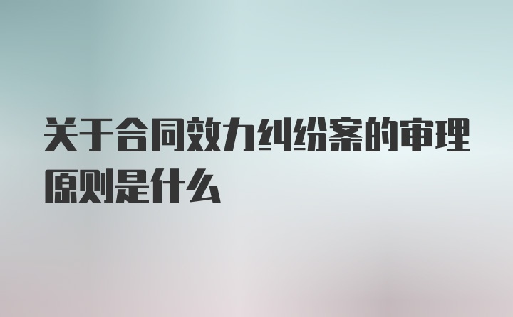 关于合同效力纠纷案的审理原则是什么