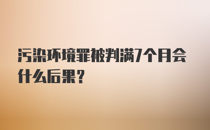 污染环境罪被判满7个月会什么后果？