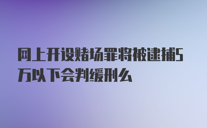 网上开设赌场罪将被逮捕5万以下会判缓刑么