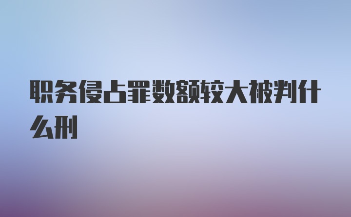 职务侵占罪数额较大被判什么刑