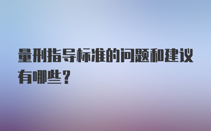 量刑指导标准的问题和建议有哪些？