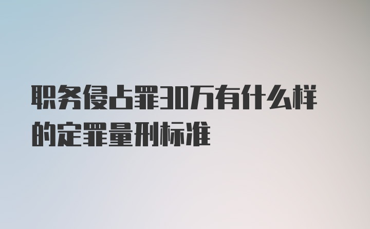 职务侵占罪30万有什么样的定罪量刑标准