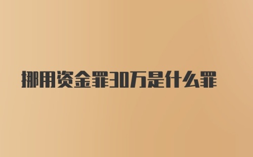 挪用资金罪30万是什么罪