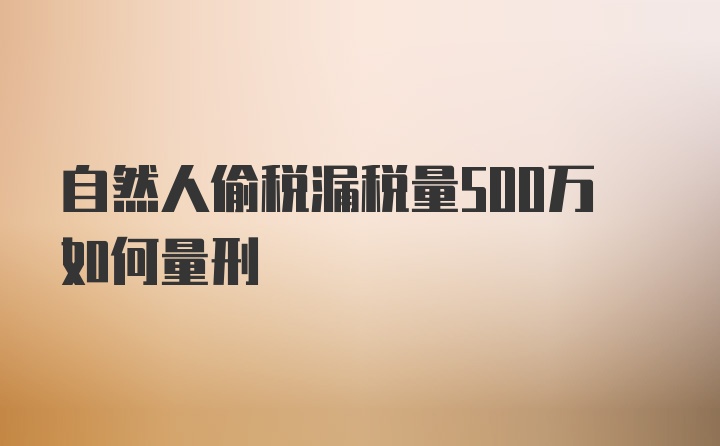 自然人偷税漏税量500万如何量刑