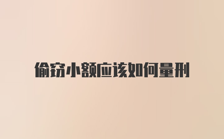 偷窃小额应该如何量刑