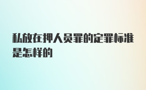 私放在押人员罪的定罪标准是怎样的