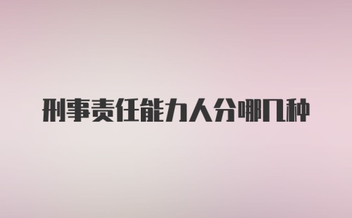 刑事责任能力人分哪几种