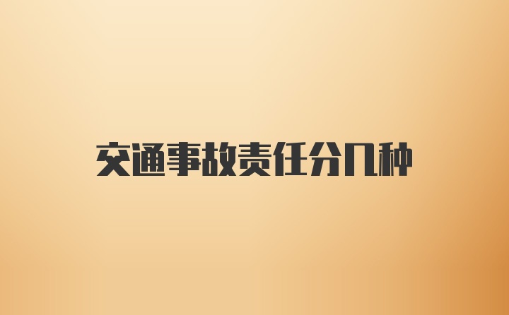 交通事故责任分几种