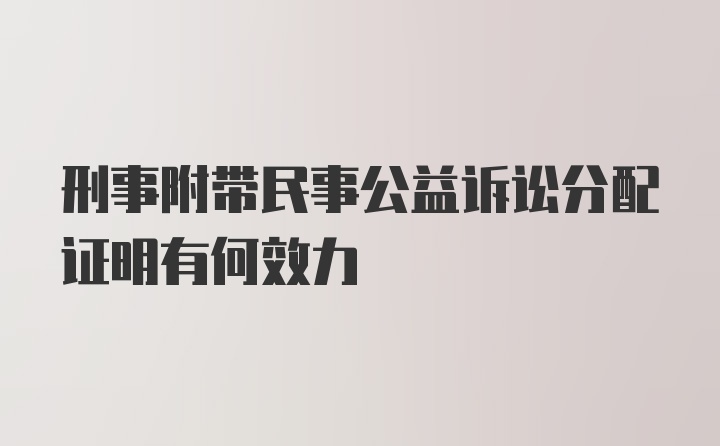 刑事附带民事公益诉讼分配证明有何效力