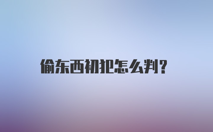 偷东西初犯怎么判？