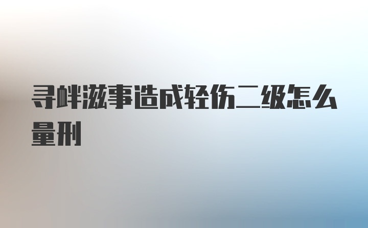 寻衅滋事造成轻伤二级怎么量刑