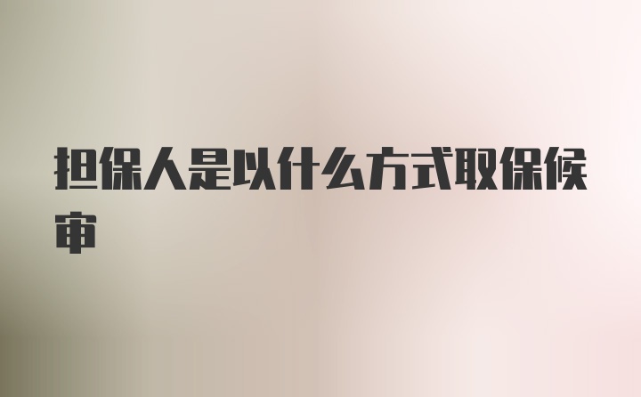 担保人是以什么方式取保候审