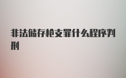 非法储存枪支罪什么程序判刑