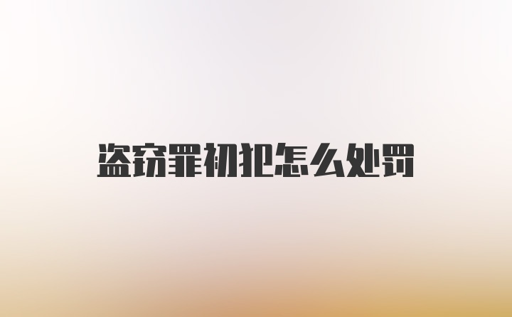 盗窃罪初犯怎么处罚