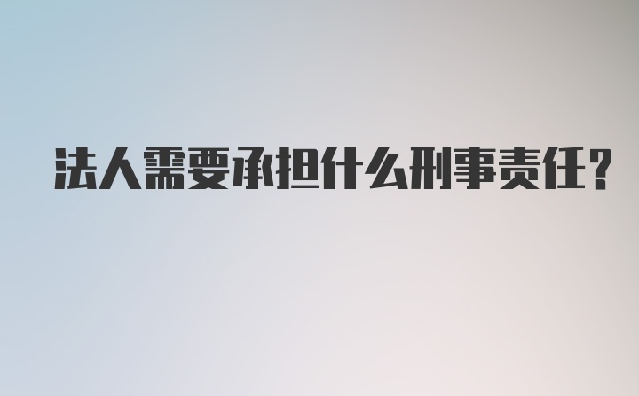 法人需要承担什么刑事责任？