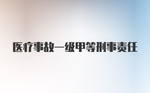 医疗事故一级甲等刑事责任