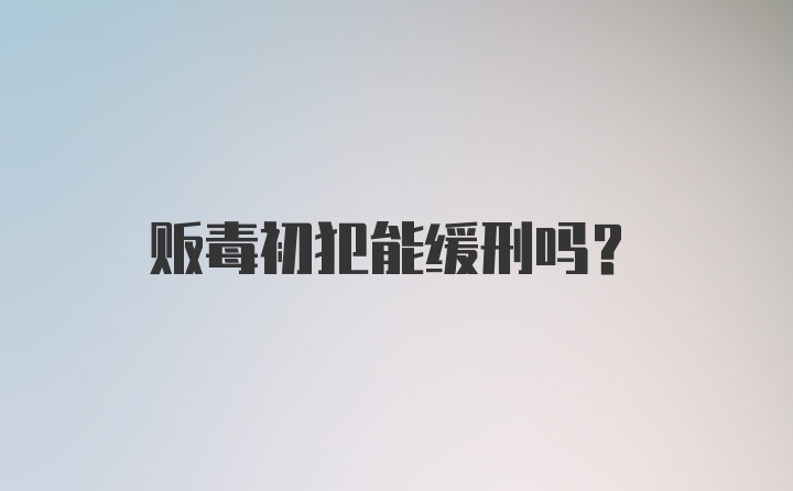 贩毒初犯能缓刑吗？