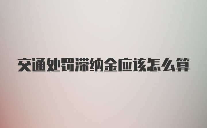 交通处罚滞纳金应该怎么算