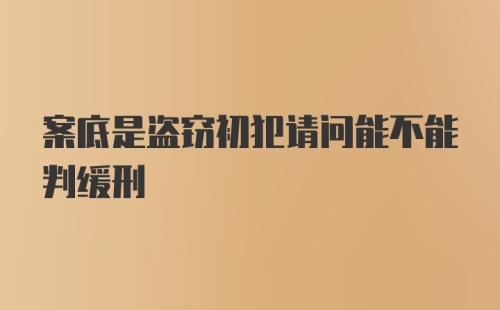 案底是盗窃初犯请问能不能判缓刑