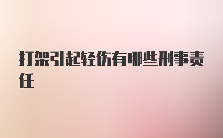 打架引起轻伤有哪些刑事责任