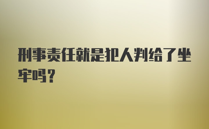 刑事责任就是犯人判给了坐牢吗？