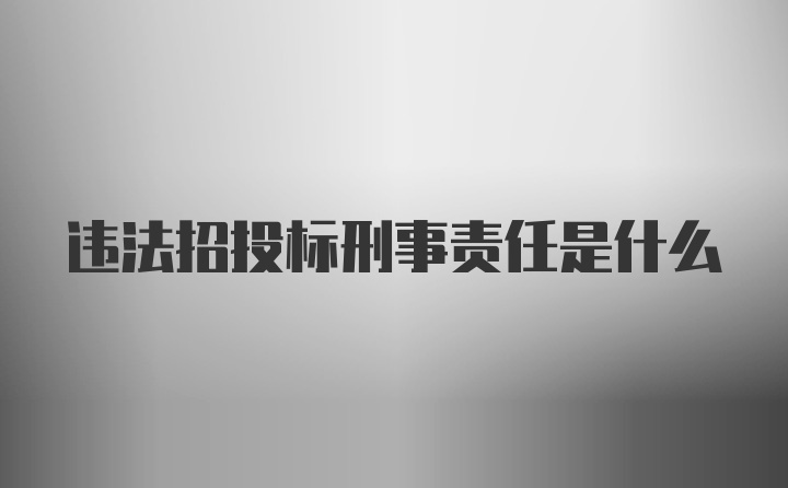 违法招投标刑事责任是什么