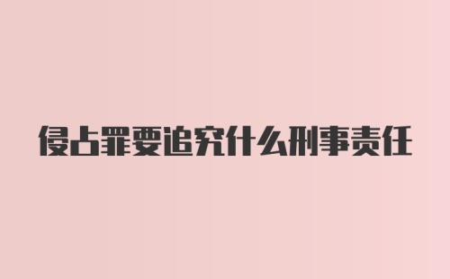 侵占罪要追究什么刑事责任