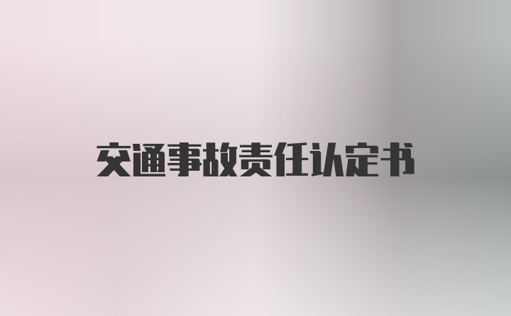 交通事故责任认定书