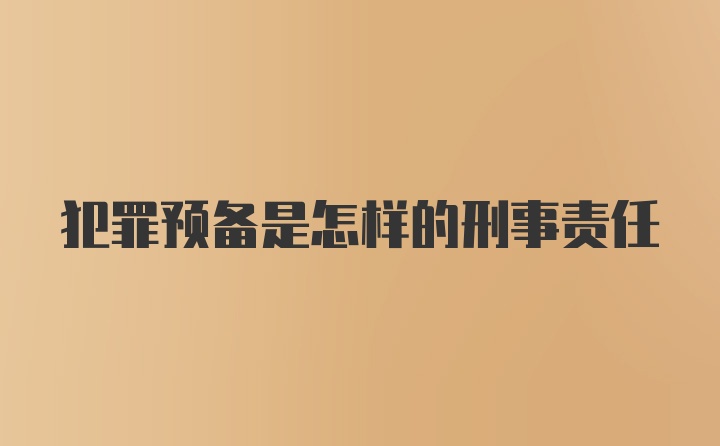 犯罪预备是怎样的刑事责任