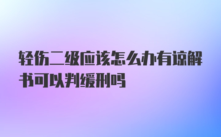 轻伤二级应该怎么办有谅解书可以判缓刑吗