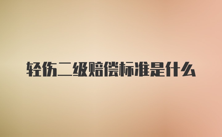 轻伤二级赔偿标准是什么