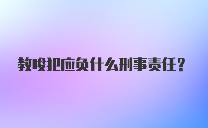 教唆犯应负什么刑事责任？