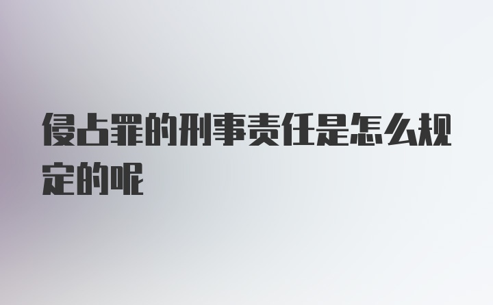 侵占罪的刑事责任是怎么规定的呢