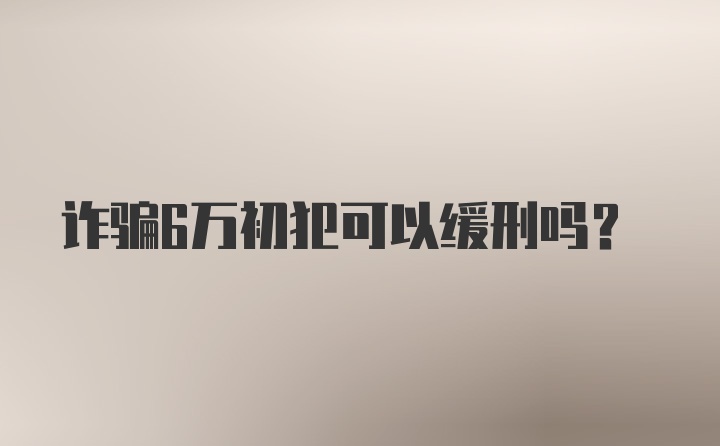 诈骗6万初犯可以缓刑吗？