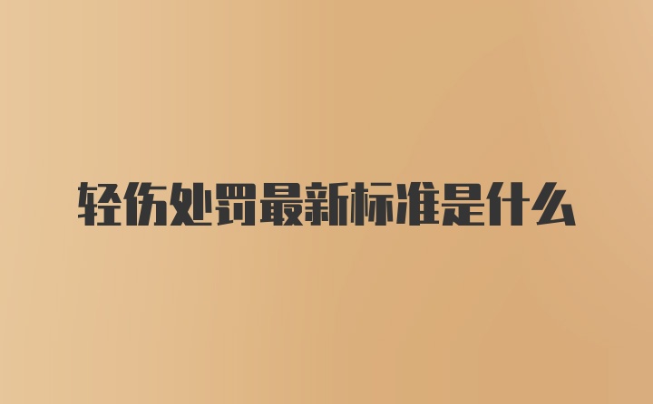 轻伤处罚最新标准是什么