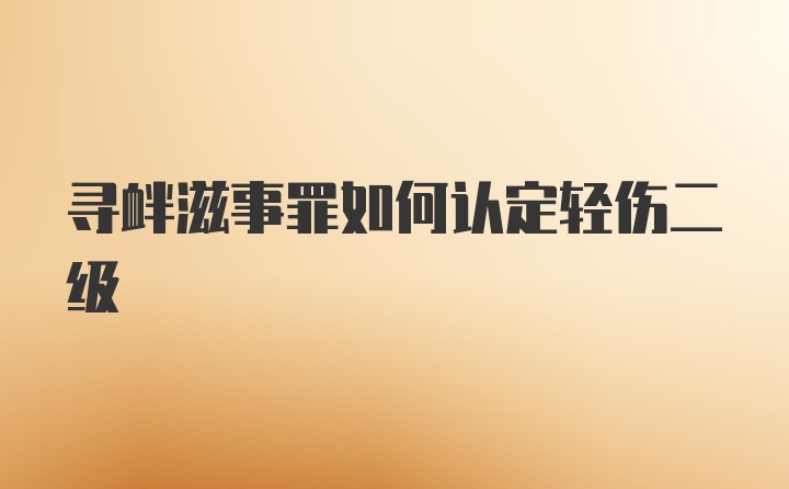 寻衅滋事罪如何认定轻伤二级