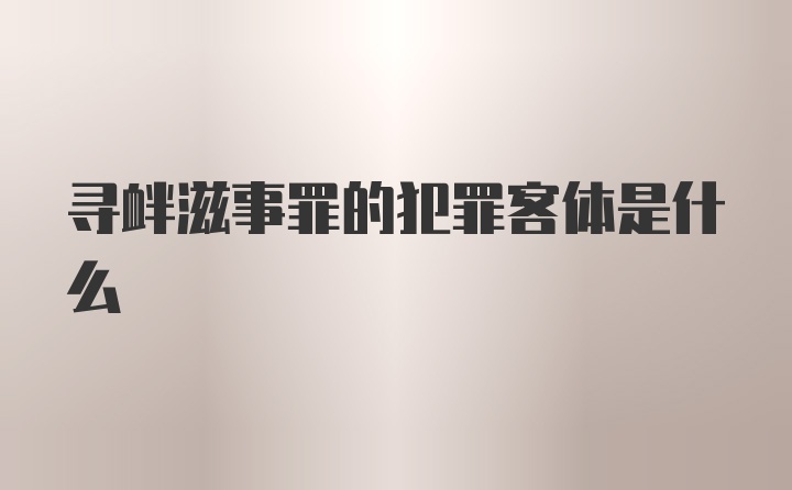 寻衅滋事罪的犯罪客体是什么