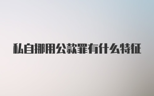 私自挪用公款罪有什么特征