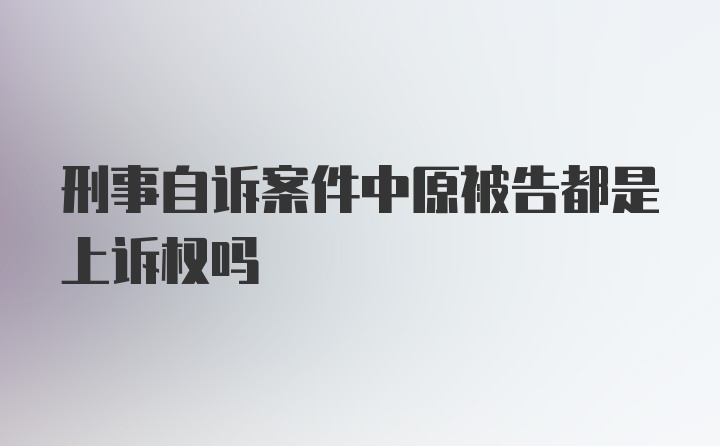 刑事自诉案件中原被告都是上诉权吗