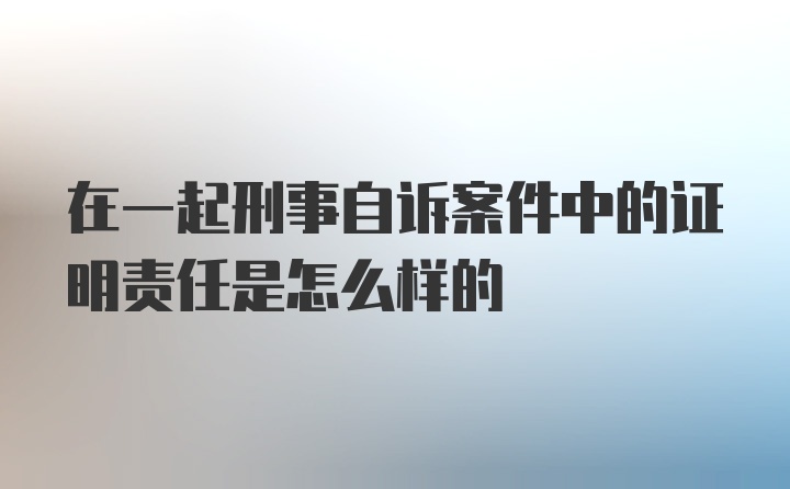 在一起刑事自诉案件中的证明责任是怎么样的